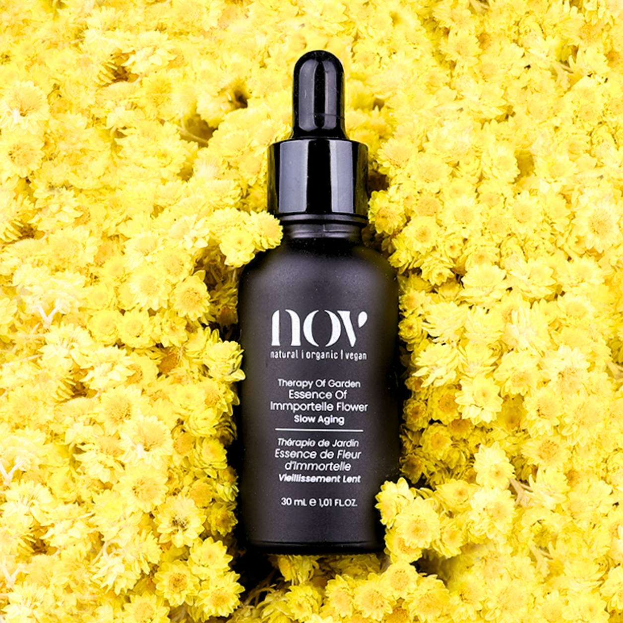 Immortelle Flower Serum